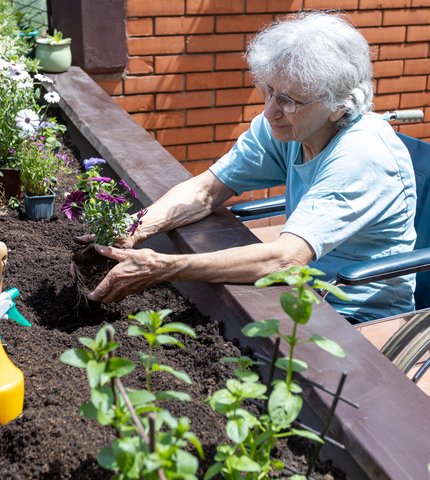 Seniorin im Rollstuhl, die am Hochbeet arbeitet